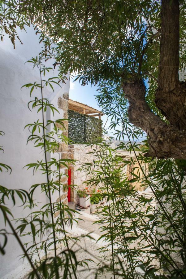 Splendid Sea View Villa Mirsini  Екстериор снимка
